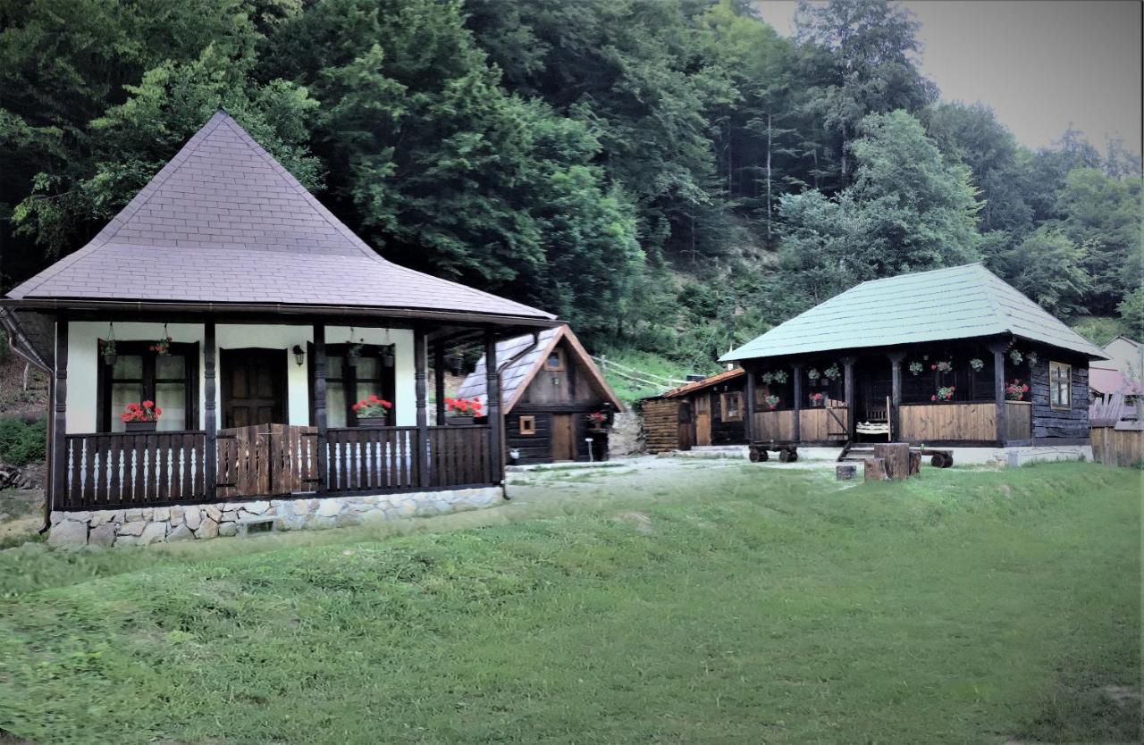 Casuta Din Valea Regilor Villa Gradistea de Munte Eksteriør billede