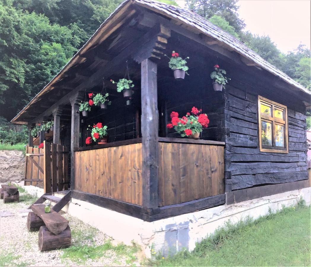 Casuta Din Valea Regilor Villa Gradistea de Munte Eksteriør billede