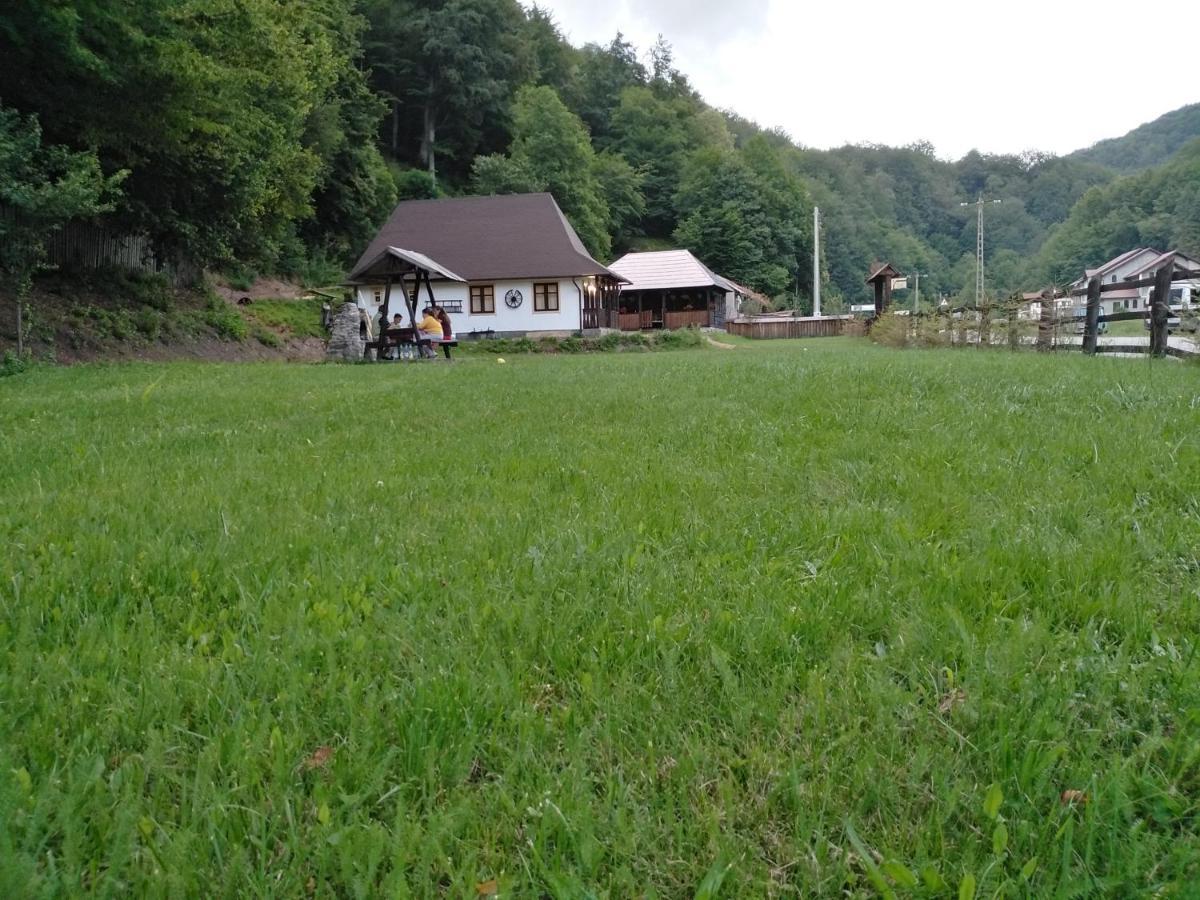 Casuta Din Valea Regilor Villa Gradistea de Munte Eksteriør billede