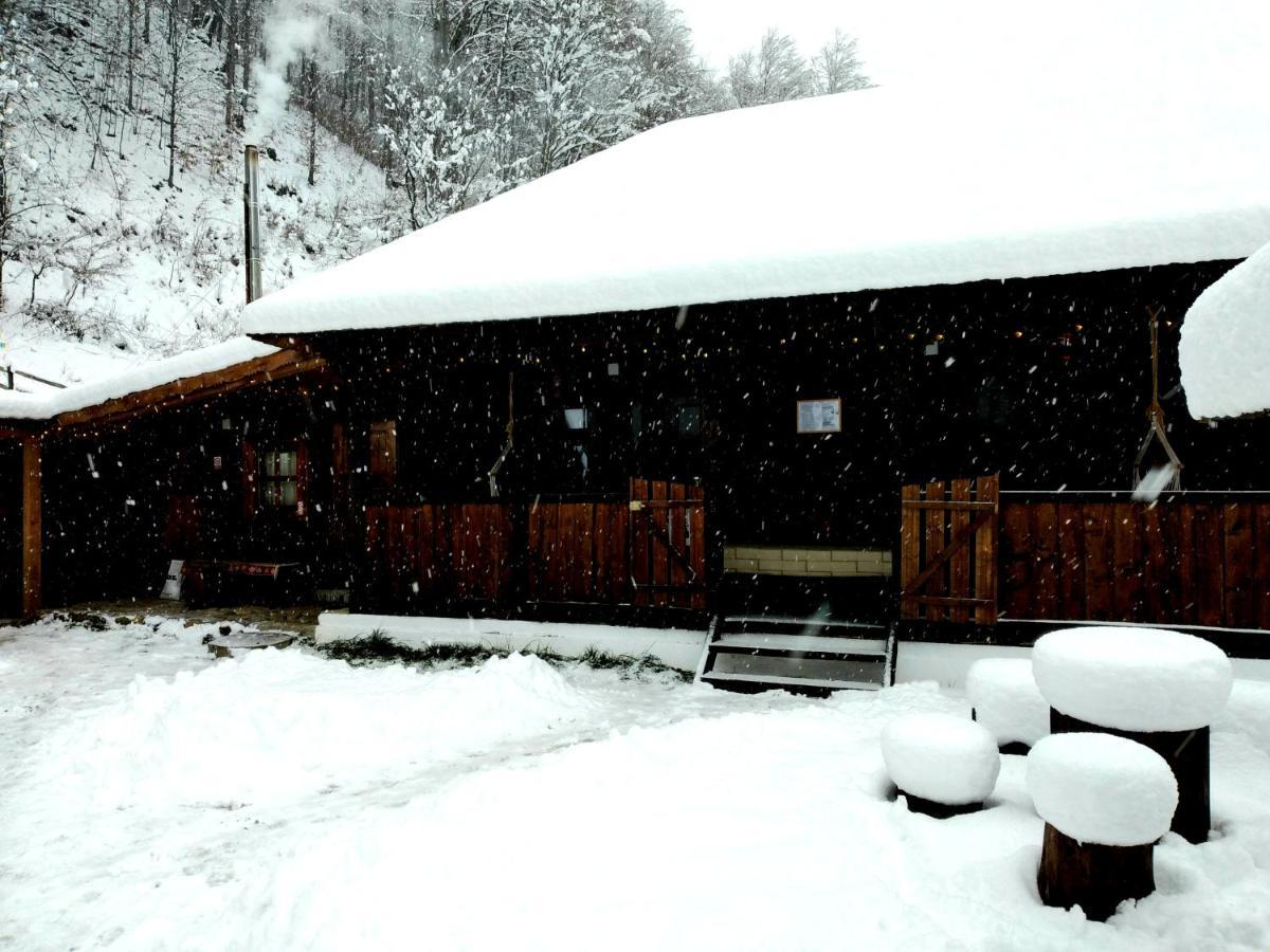 Casuta Din Valea Regilor Villa Gradistea de Munte Eksteriør billede