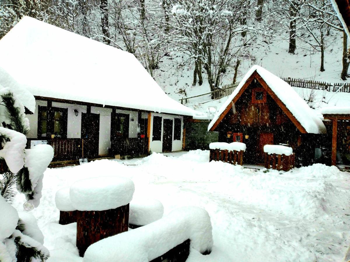 Casuta Din Valea Regilor Villa Gradistea de Munte Eksteriør billede
