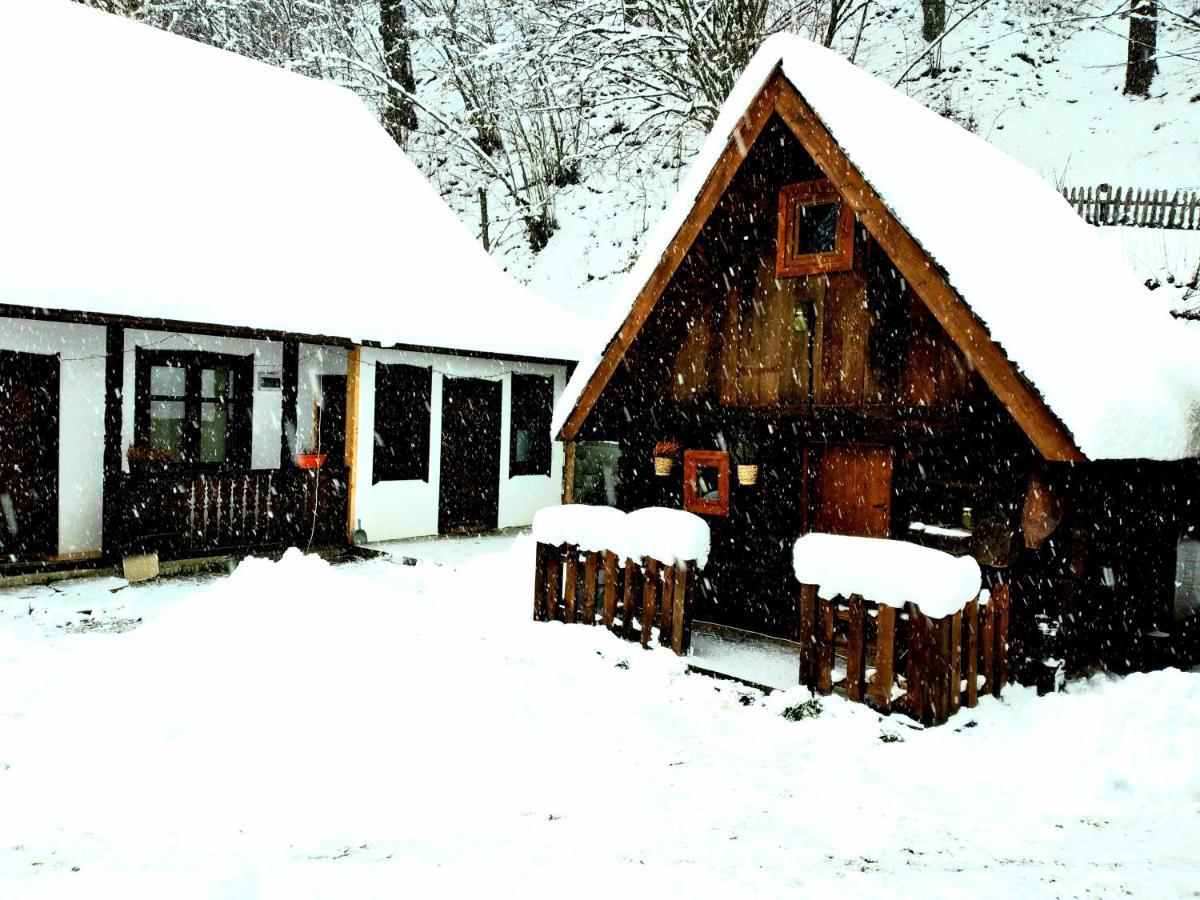Casuta Din Valea Regilor Villa Gradistea de Munte Eksteriør billede
