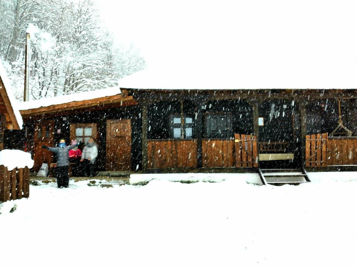 Casuta Din Valea Regilor Villa Gradistea de Munte Eksteriør billede